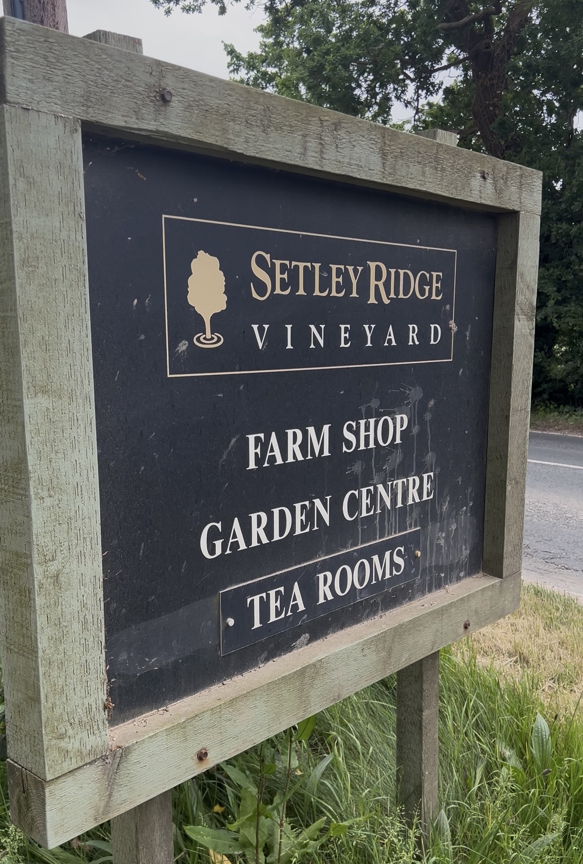 Setley Ridge photo 2